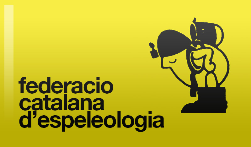 Llicència FCE