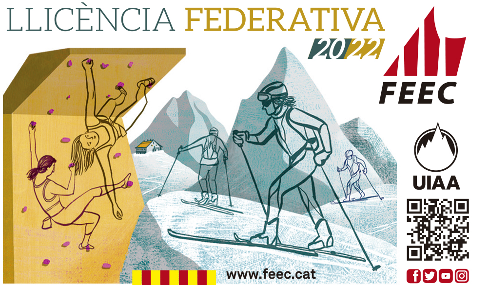 Llicència FEEC