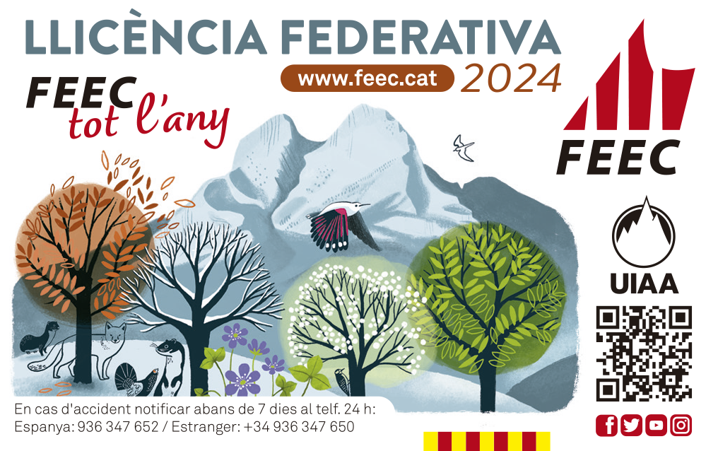 Llicència federativa FEEC 2024
