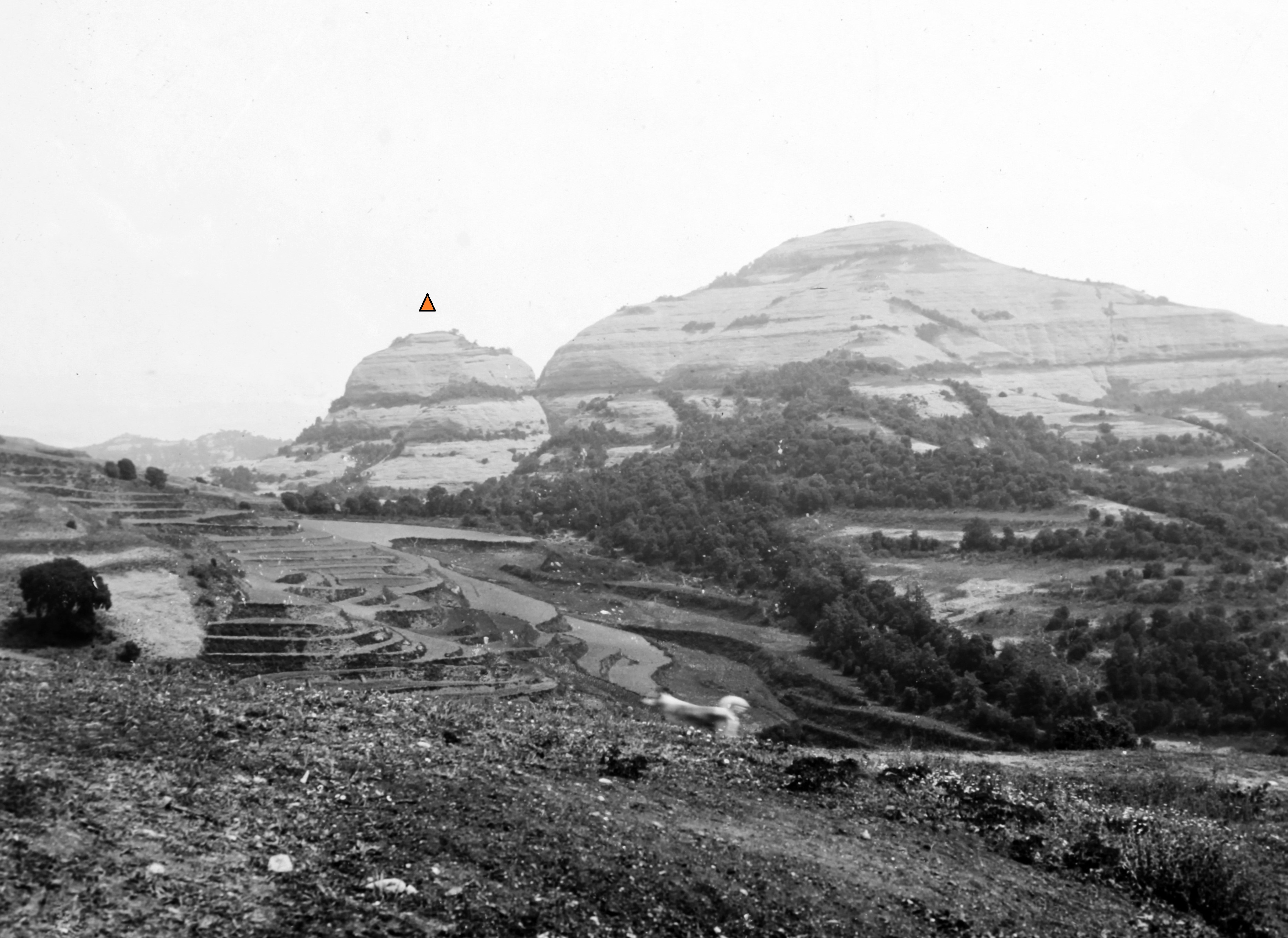 Foto antiga del turó del Montcau