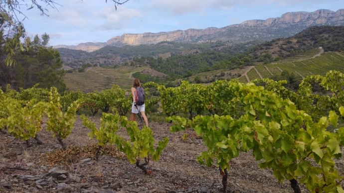 Priorat · Poboleda