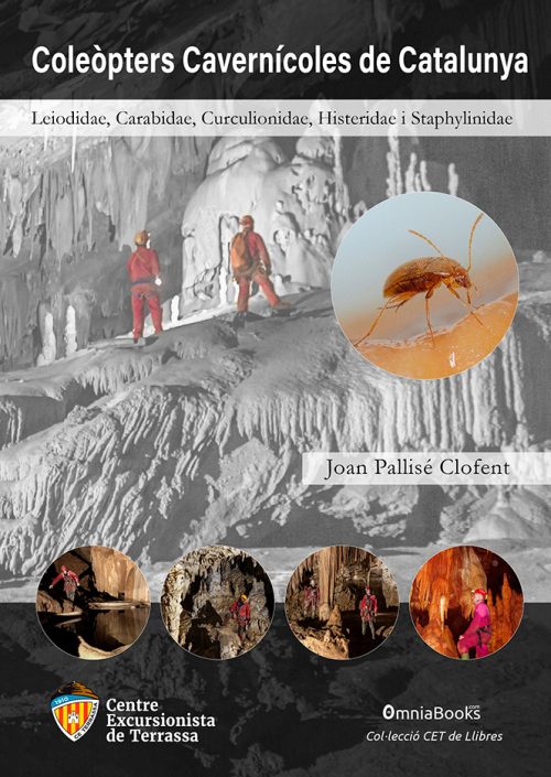 CETdeLlibres: Coleòpters Cavernícoles de Catalunya