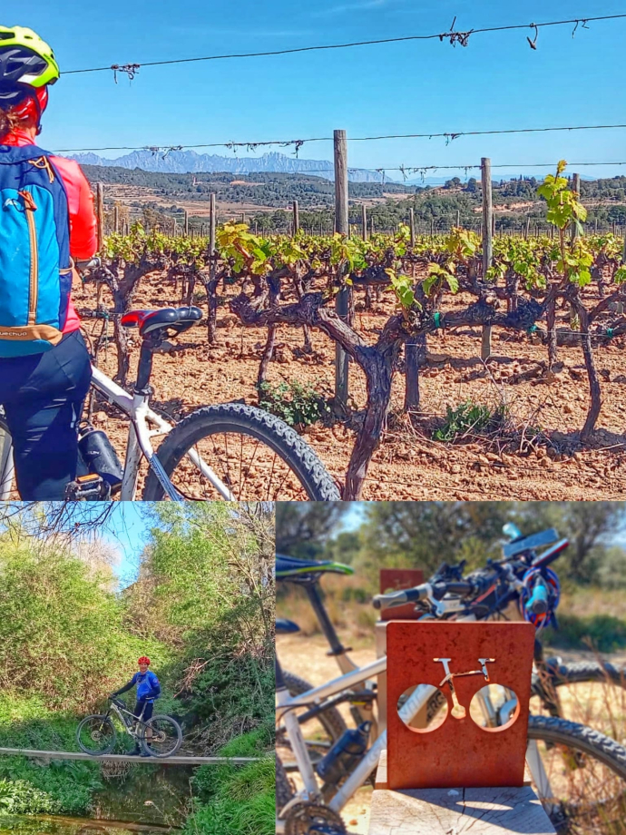 El Penedès, per vinyes i rierols