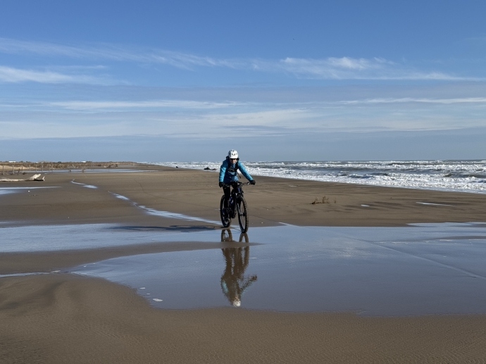 El Delta de l’Ebre, un paradís natural en perill