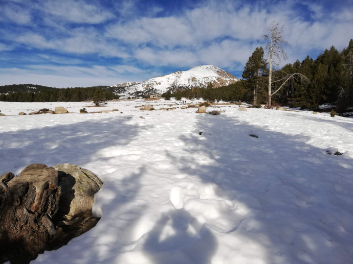 Raquetes de neu a Lles de Cerdanya