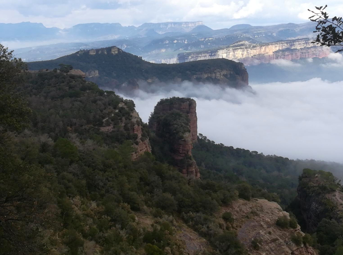 Camins de Verdaguer · De Tavèrnoles a Folgueroles