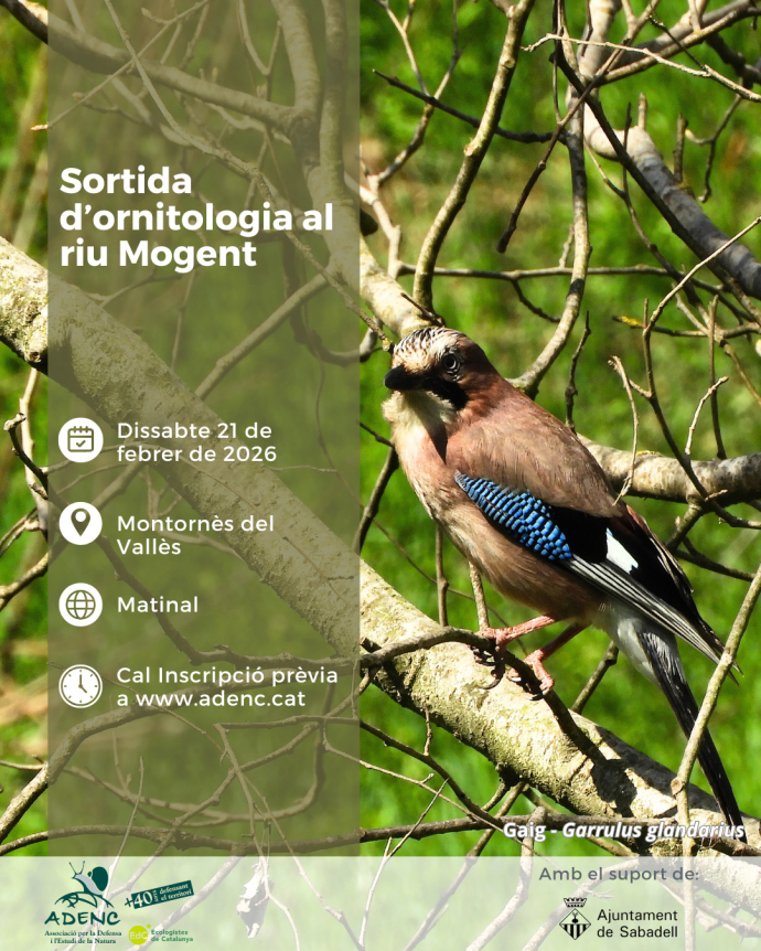 Riu Mogent amb l'Adenc