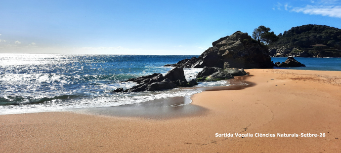 Camí de ronda des de la Platja de la Fosca a la Cova Foradada