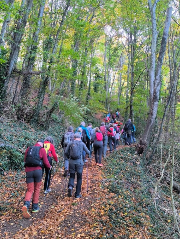 Curset de Marxa Nòrdica