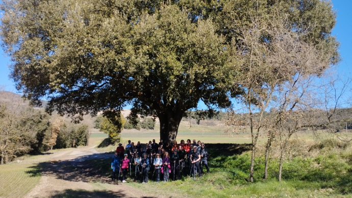 Les Sortides dels Divendres (Trimestre de primavera)
