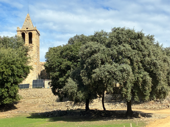 Llambilles - Sant Cebrià de Lledó (Els Metges), pel Massís de les Gavarres