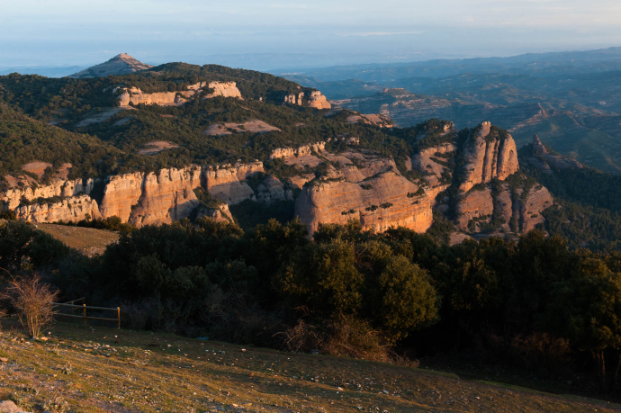 Conferència: Els efectes del canvi climàtic al Parc Natural de Sant Llorenç del Munt i l’Obac