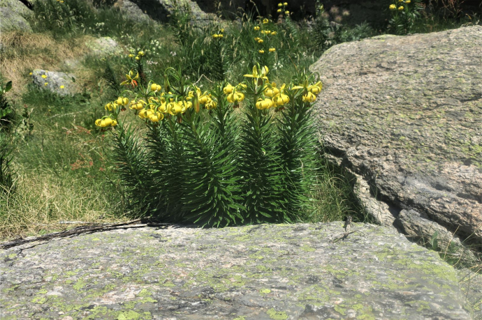 Andorra, el país dels Pirineus