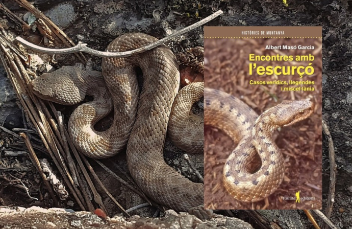 Presentació del llibre 'Encontres amb l’escurçó' d’Albert Masó