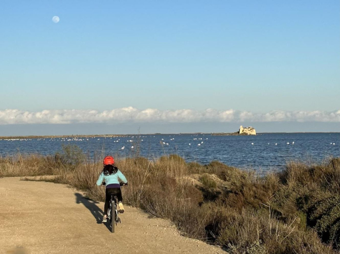 Explorem el Delta de l’Ebre amb caiac i amb bicicleta