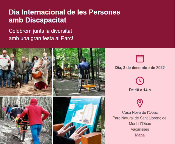 Dia Internacional de les Persones amb Discapacitat