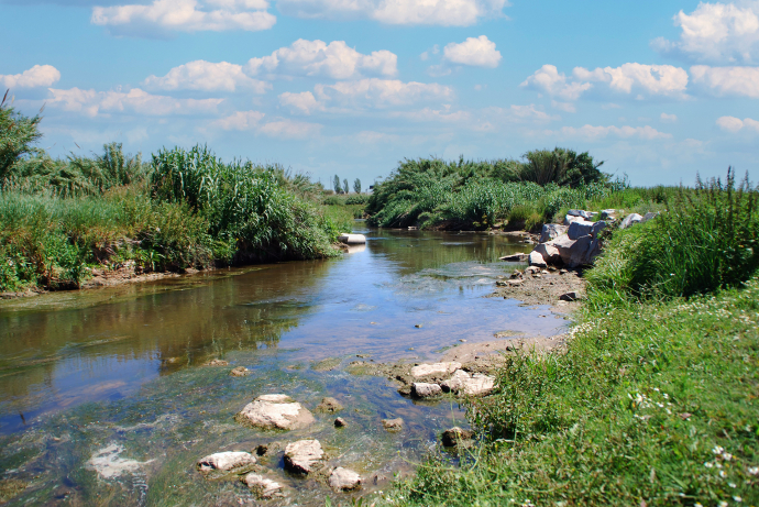 Camí del riu Llobregat