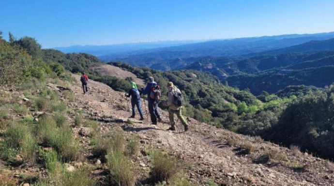 Circular des del Coll Estenalles, La Coma d'en Vila i Alzina del Vent