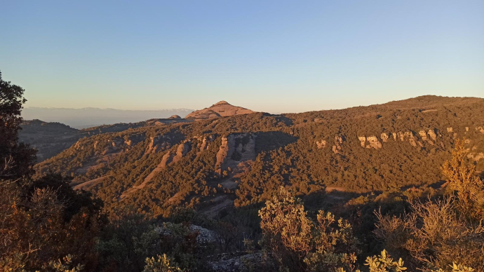 Obagues i fondalades de la capçalera esquerra de la riera de les Arenes