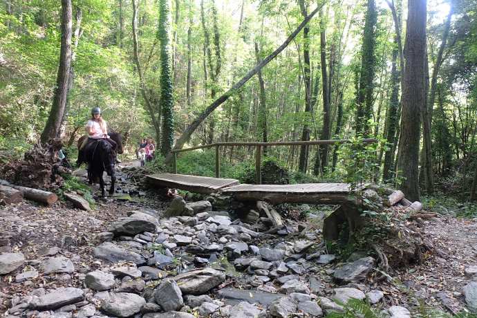 GR5 · 9a etapa · Fogars de Montclús – Sant Celoni