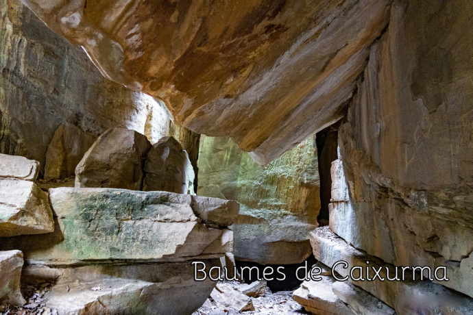 Castellfollit de la Roca - baumes de Caixurma