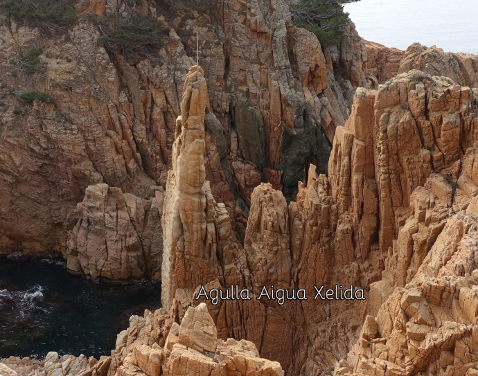 Tamariu - Aigua Xelida