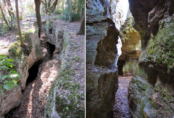 Puig Clarà i Les Estunes