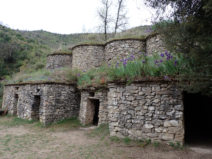 La Vall del Flequer i les Tines