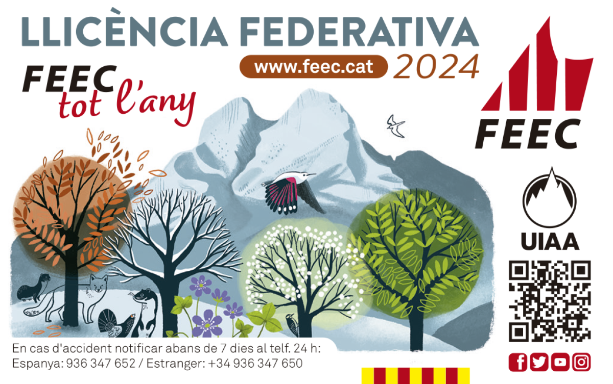 Tramita en línia la teva llicència faderativa FEEC i FCE