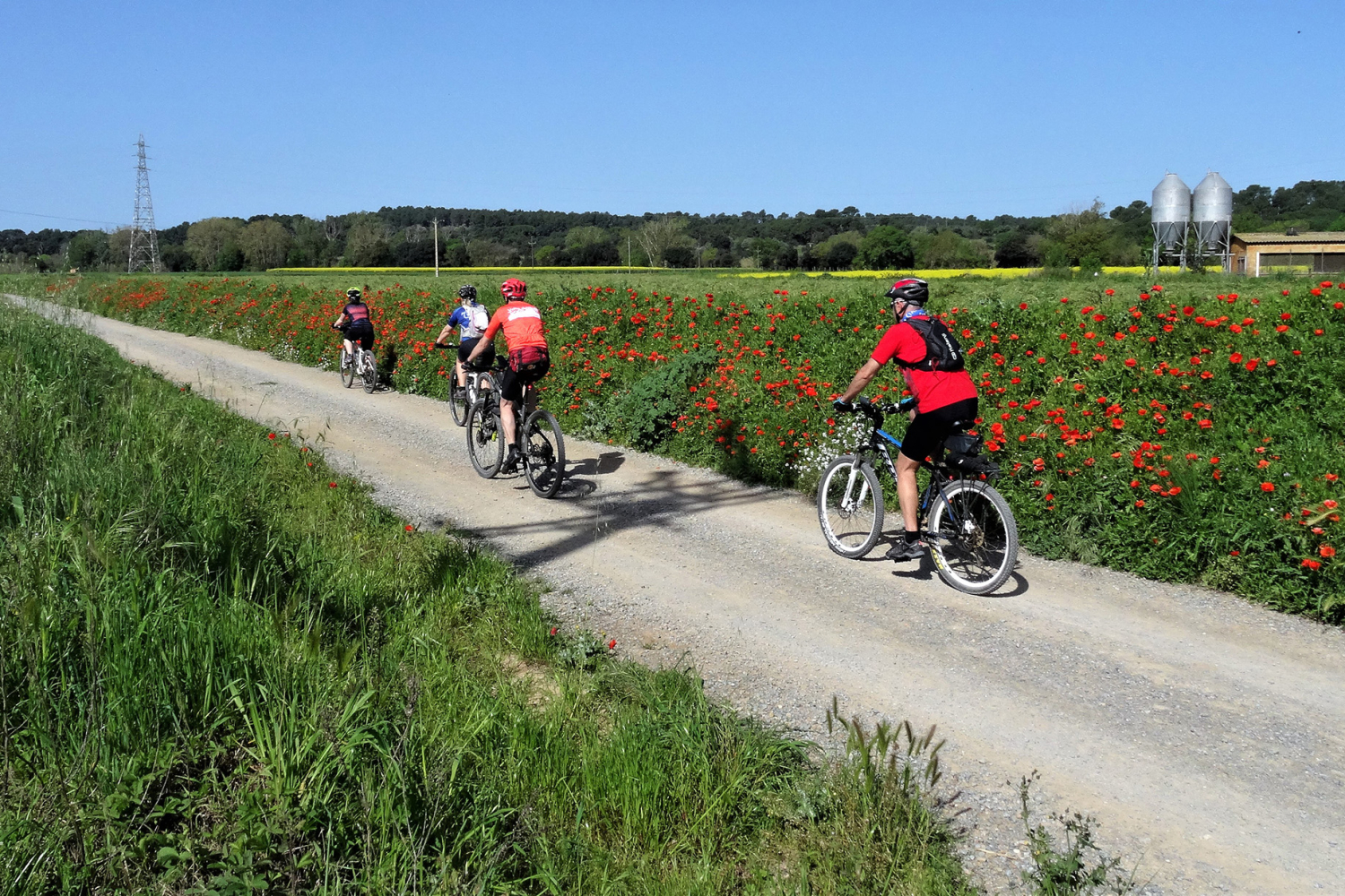 Bici de Temporada reprèn les activitats