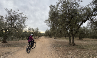 Oliveres, boscos i vinyes, entre el Baix Llobregat i l’Anoia