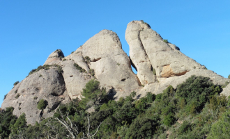 Les canals feréstegues de la banda ponentina del massís de Montserrat