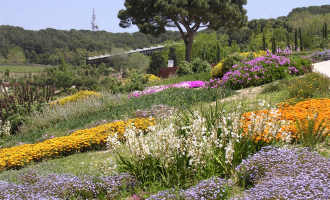Jardins botànics de Montjuïc