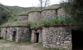 La Vall del Flequer i les Tines