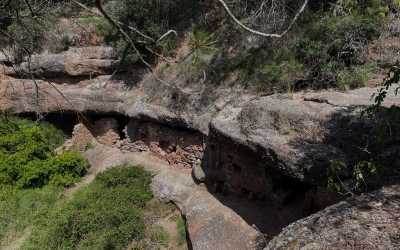 Sortida nadalenca a Rellinars juntament amb la secció d'Ornitologia