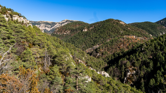 Del Pi de les Tres Branques a Llinars per les canals del Catllarí