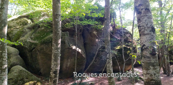 Roques encantades - bolet de Toia