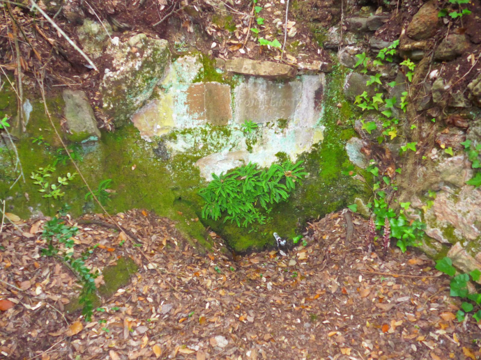 Font de l’Hort,font Freda i font dels Confits