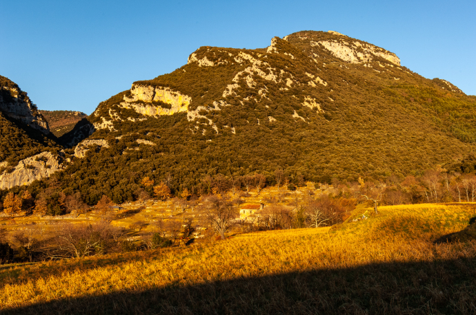 Orientació al Bassegoda