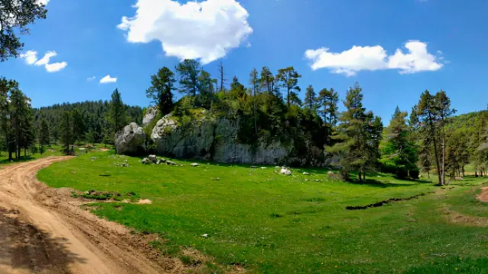 Ruta botànica per la serra del Catllaràs