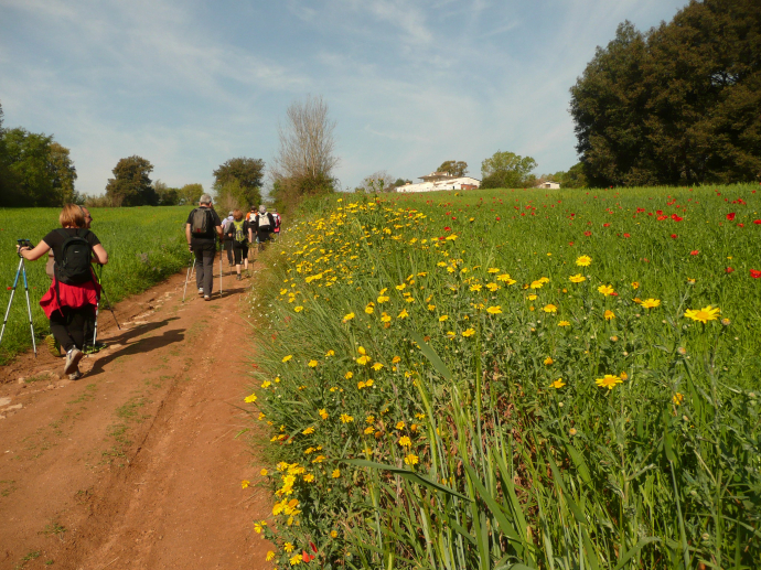 Les sortides del divendres (Trimestre MN Primavera)