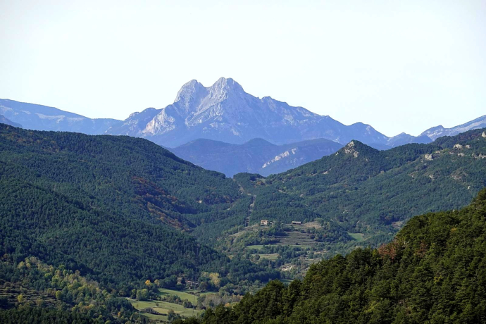 Camins de Transhumància · Planoles - Campdevànol