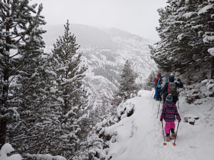 Raquetes de neu a Tuixent
