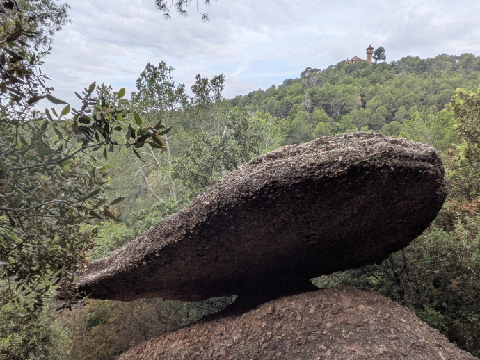 El Turó del Ros