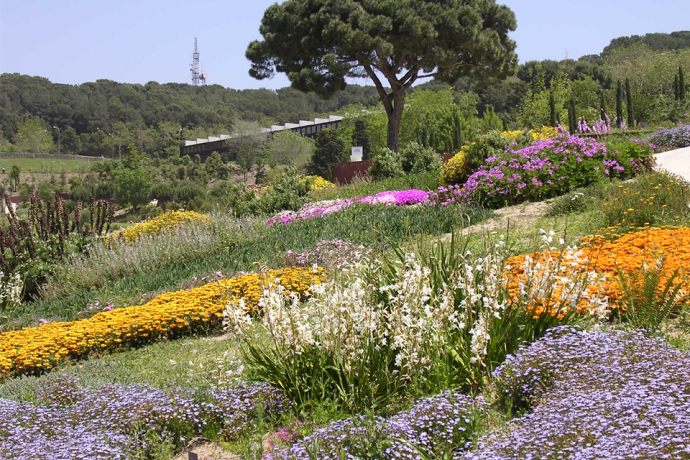 Jardins botànics de Montjuïc