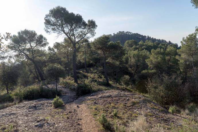 El Pujol de Matadepera i la carena de la Costa del Tet