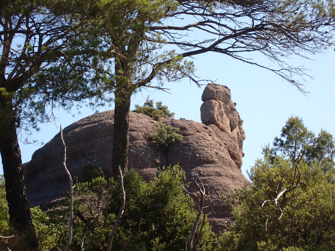 Balma Blava, Sescorts i Bofí