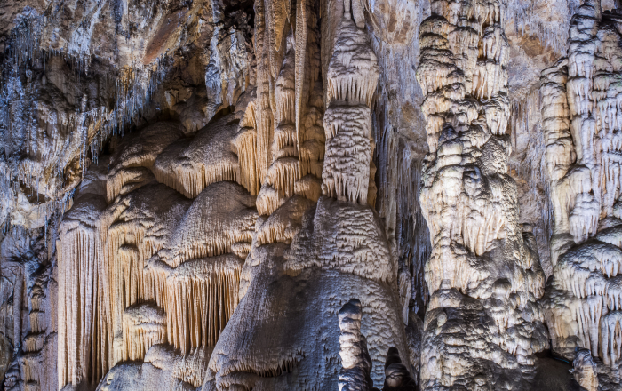 Activitats 4t trimestre 2022