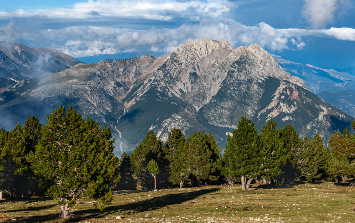 Cap del Verd pel barranc de l'Infern