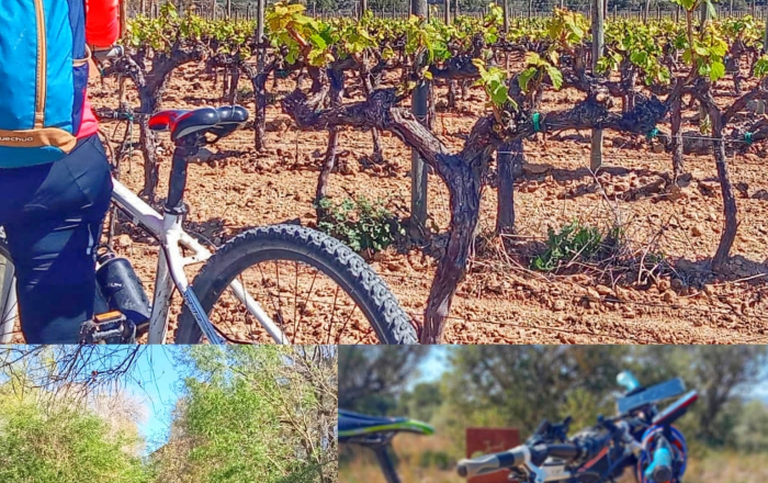 El Penedès, per vinyes i rierols